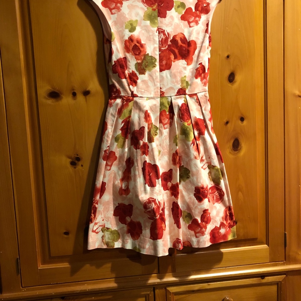 B.B. Dakota dress size 4